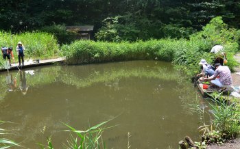 谷戸山公園 池